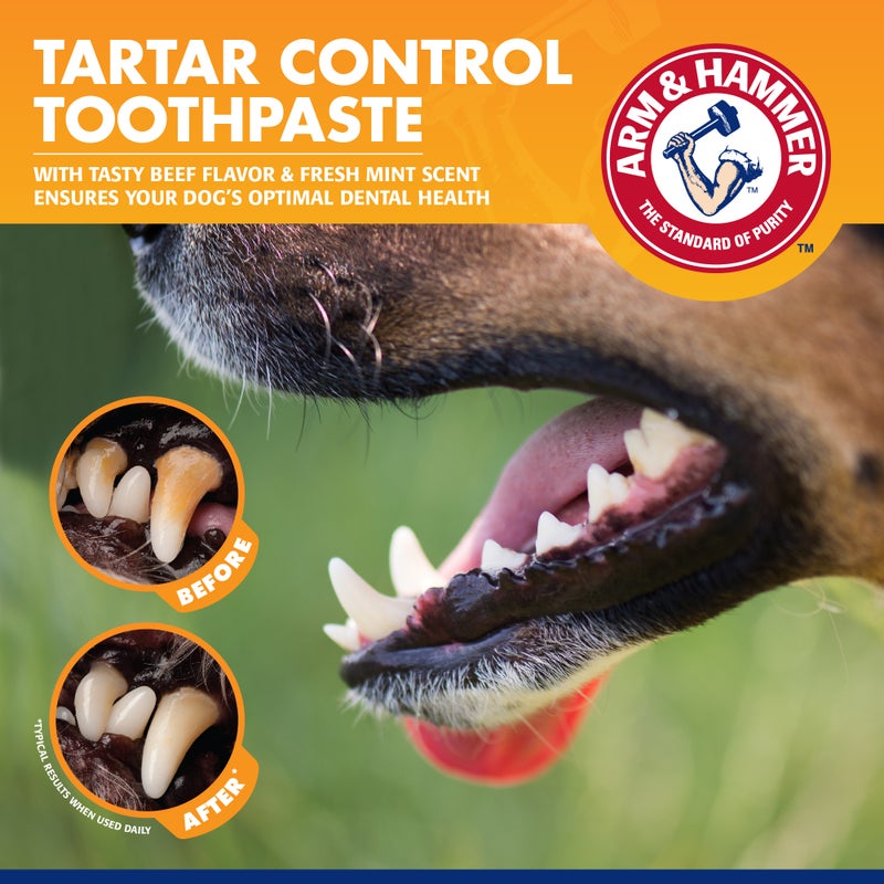 Arm & Hammer Pets Tartar Control Toothpaste