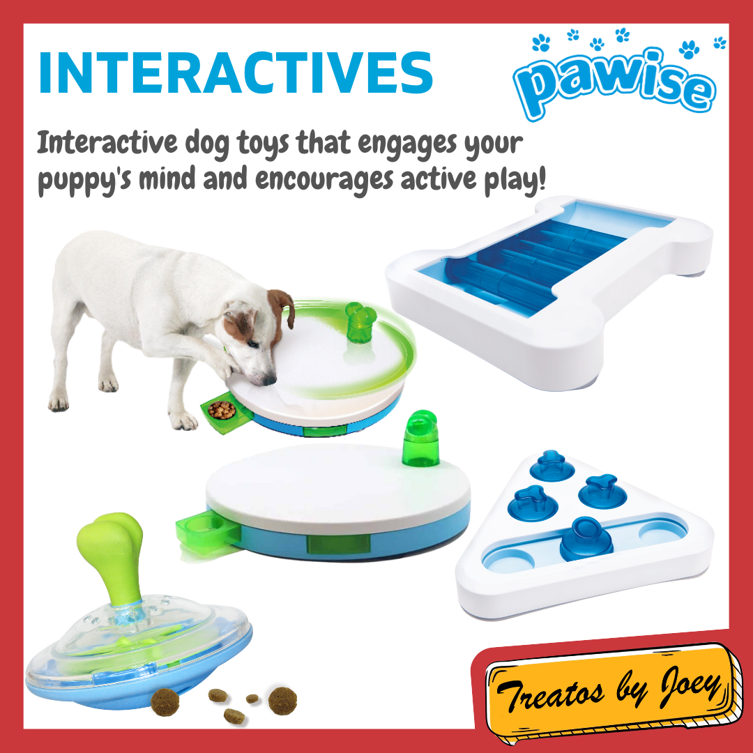 Pawise DOG TRAINING INTERACTIVE Treat Dispensing Puzzle Dog Toy