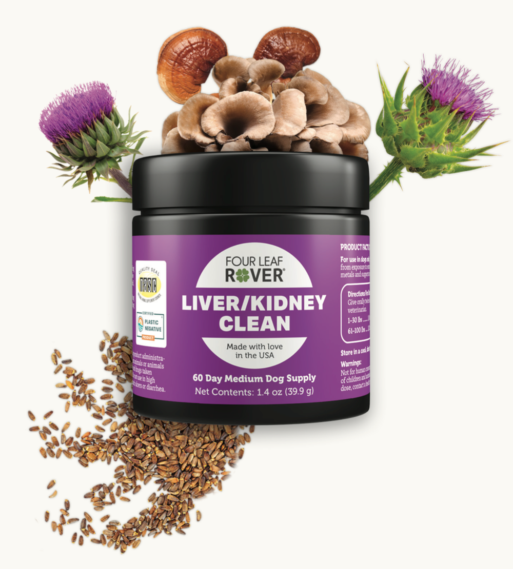 Liver/Kidney Clean - Four Leaf Rover Supplement (Oct 2025 Expiry)