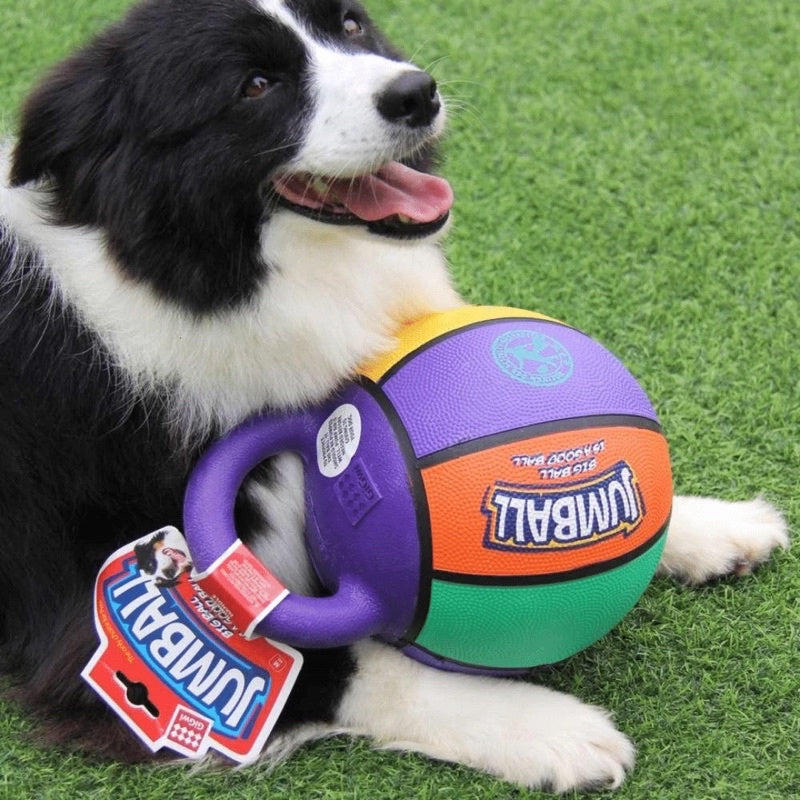 Gigwi Jumball Dog Toy