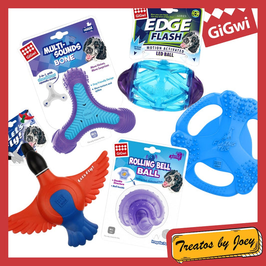 GigWi Edge Flash Fly Bone Ball Flying Dog Toy