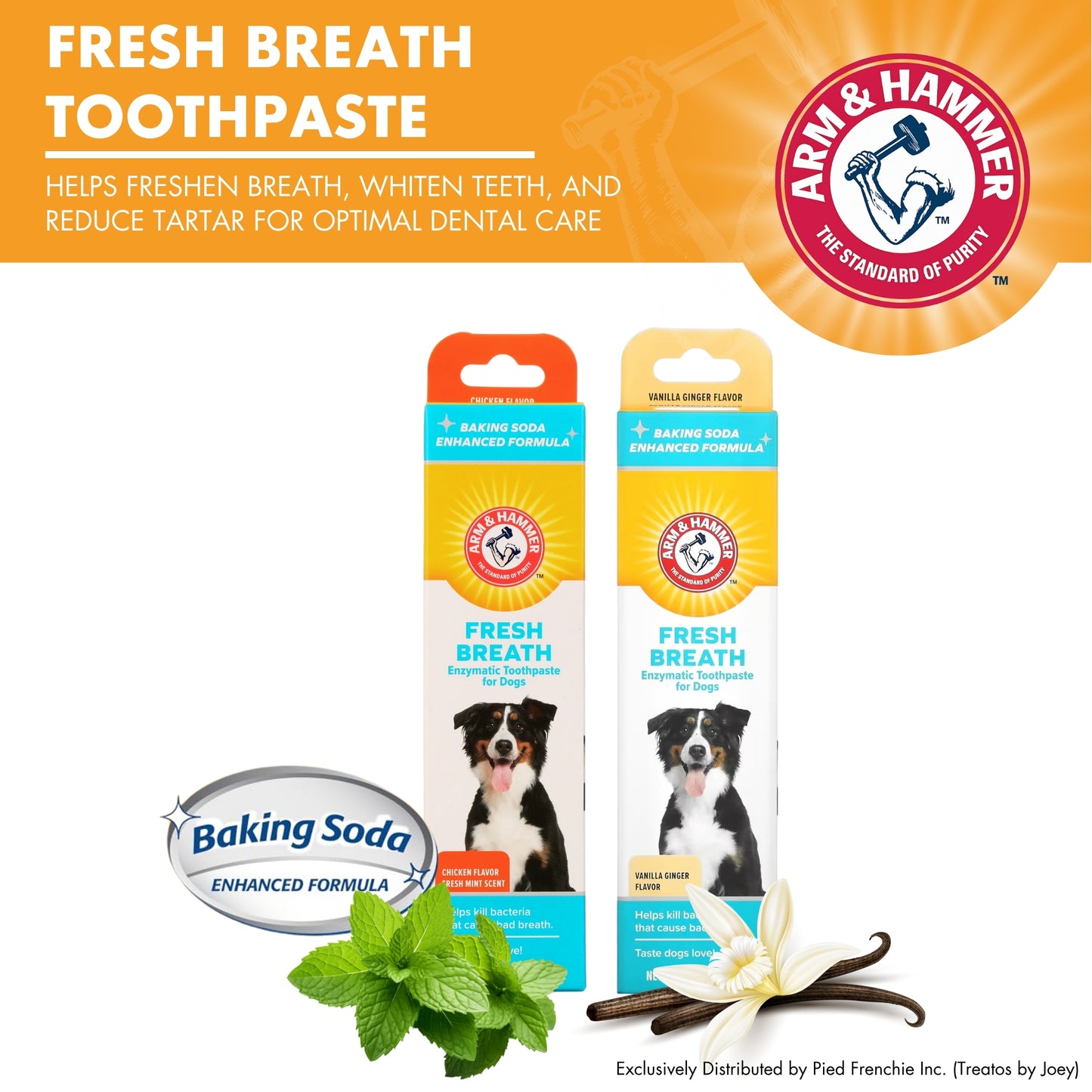 Arm & Hammer Pets Fresh Breath Toothpaste