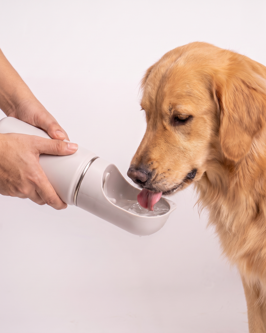 Wooflask Insulated Pet Water Bottle (14oz)