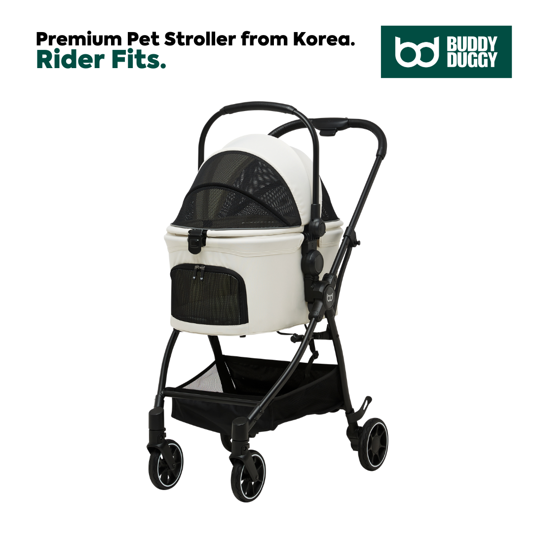 Babyhug Wander Buddy Stroller With Rear Parent Utility Box With Cup Holder - Red