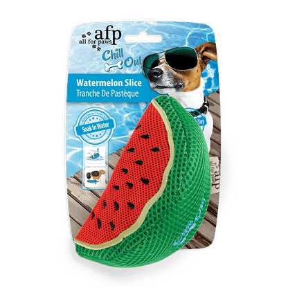 All For Paws AFP Chill Out Summer Dog Toy