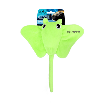 All For Paws AFP K Nite Glow in the Dark Dog Toy