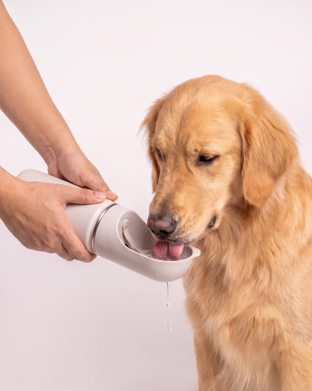 Wooflask Insulated Pet Water Bottle (14oz)