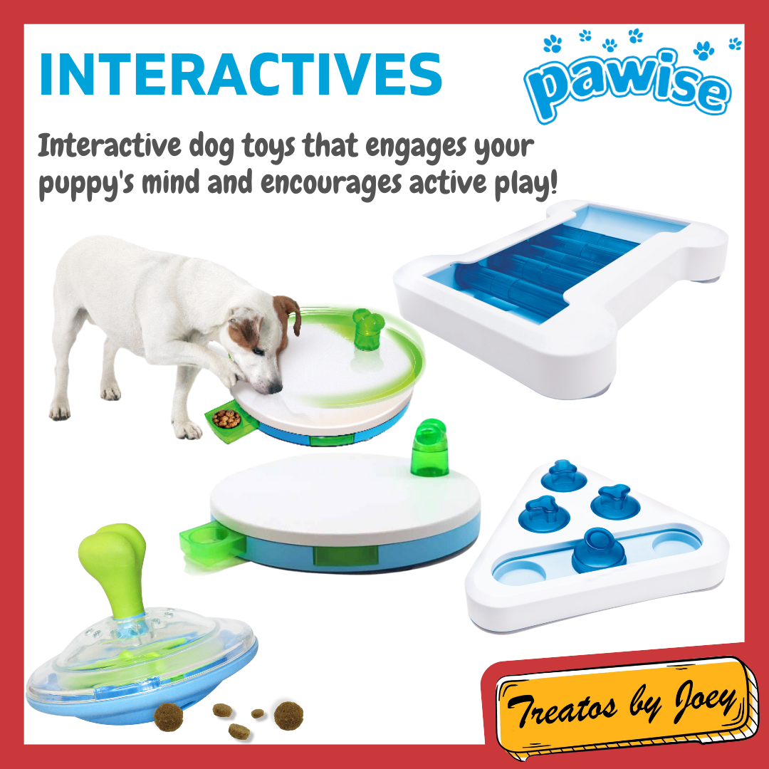 Pawise Dog Training Interactive Puzzle Dog Toys