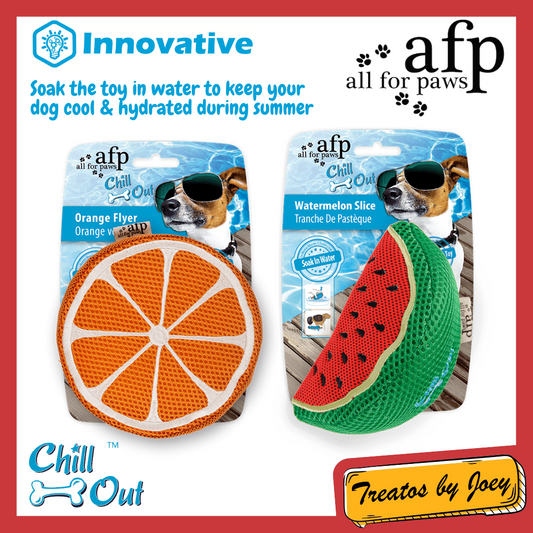 All For Paws AFP Chill Out Summer Dog Toy