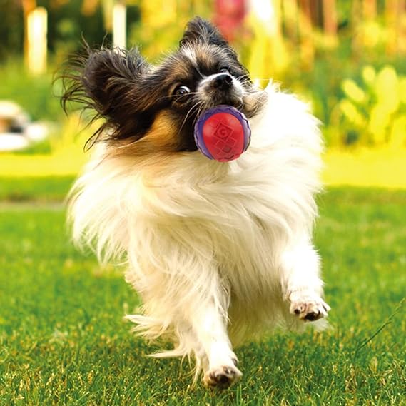 GigWi High Intensity Ball Dog Toy