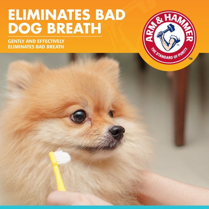 Arm & Hammer Pets Fresh Breath Toothpaste