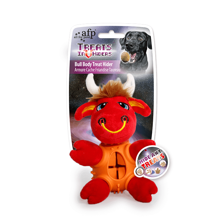 All For Paws Treats InVhiders Medium Dog Toy