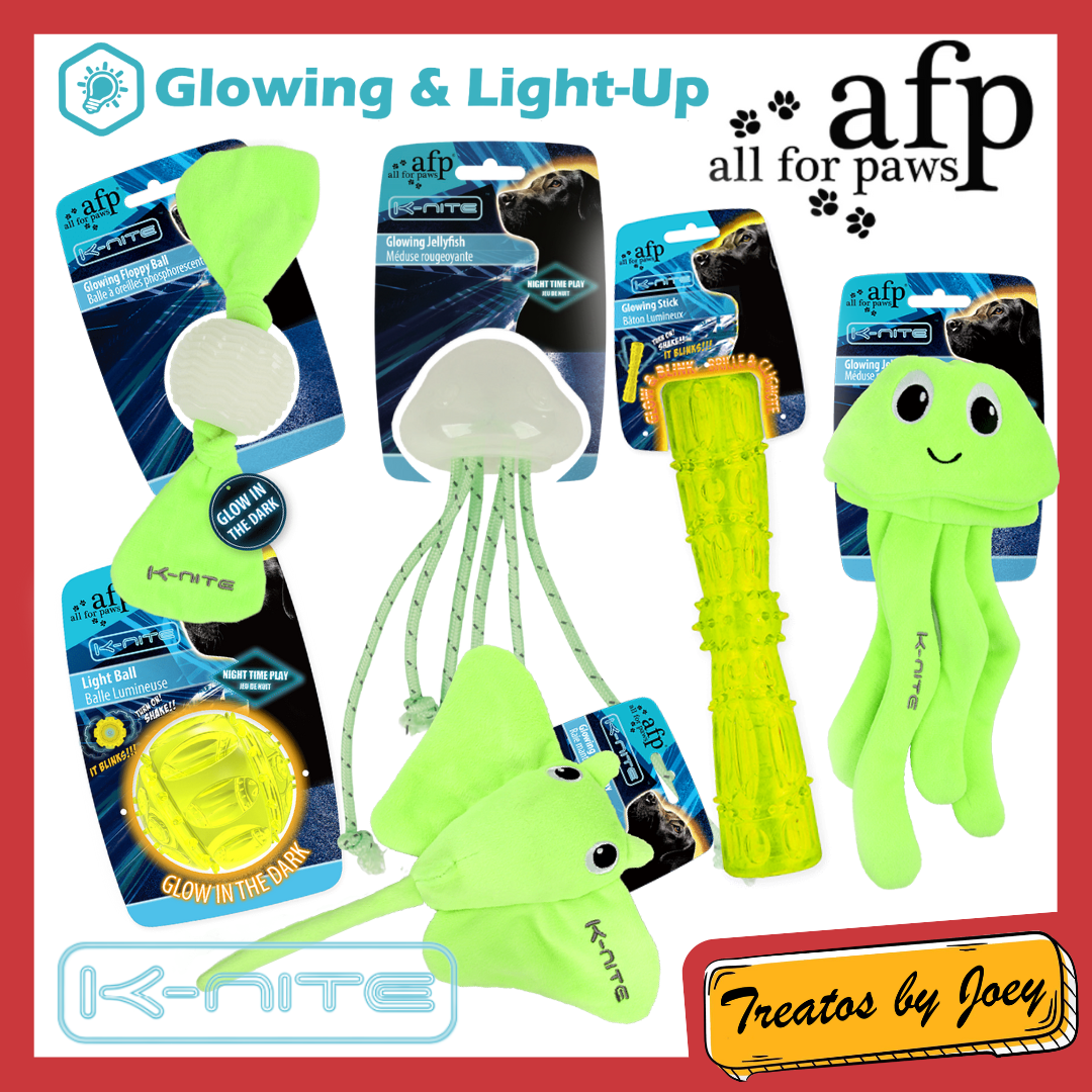 All For Paws AFP K Nite Glow in the Dark Dog Toy