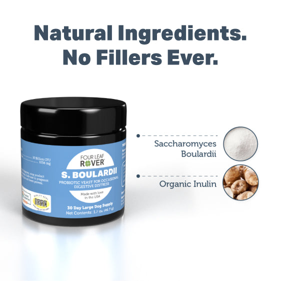 Saccharomyces Boulardii - Four Leaf Rover Supplement