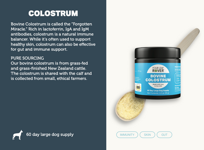 Bovine Colostrum - Four Leaf Rover Supplement