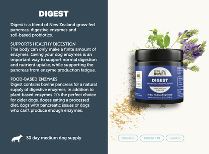 Digest - Four Leaf Rover Supplement