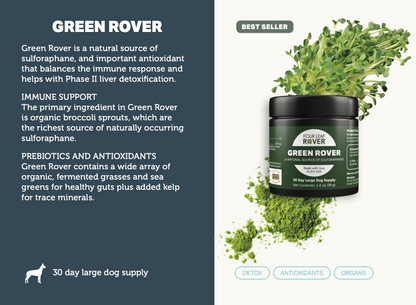 Green Rover - Four Leaf Rover Supplement