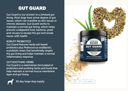 Gut Guard - Four Leaf Rover Supplement