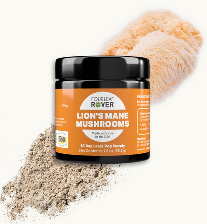 Lion's Mane - Four Leaf Rover Supplement