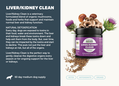 Liver/Kidney Clean - Four Leaf Rover Supplement