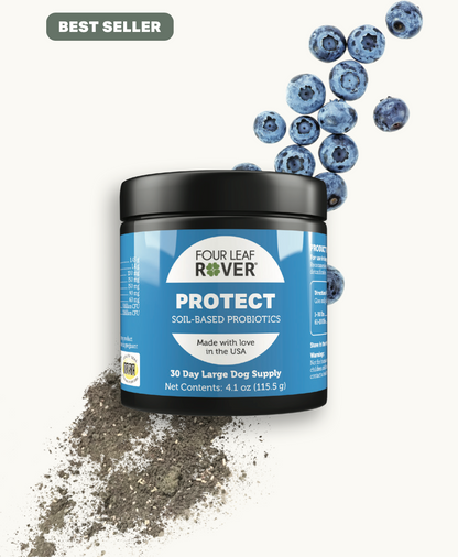 Protect - Four Leaf Rover Supplement