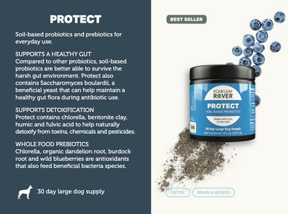 Protect - Four Leaf Rover Supplement