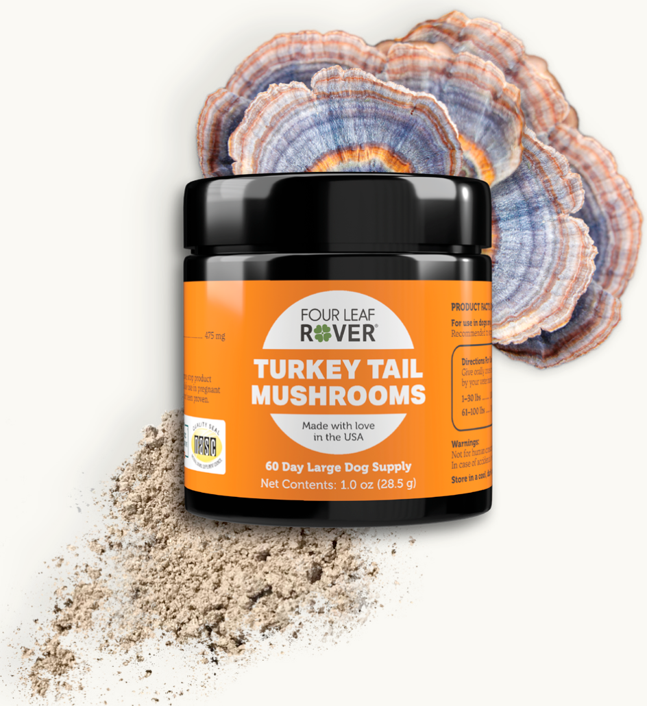 Turkey Tail - Four Leaf Rover Supplement