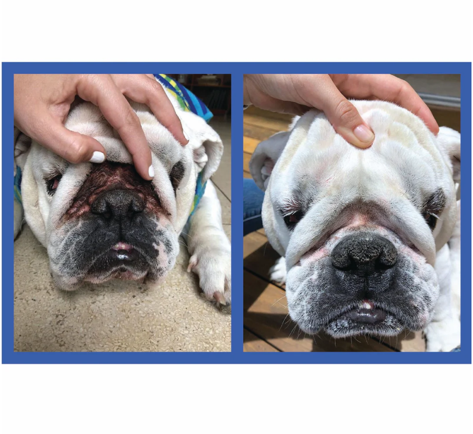 Squishface Wrinkle Paste