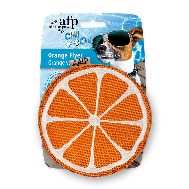 All For Paws AFP Chill Out Summer Dog Toy