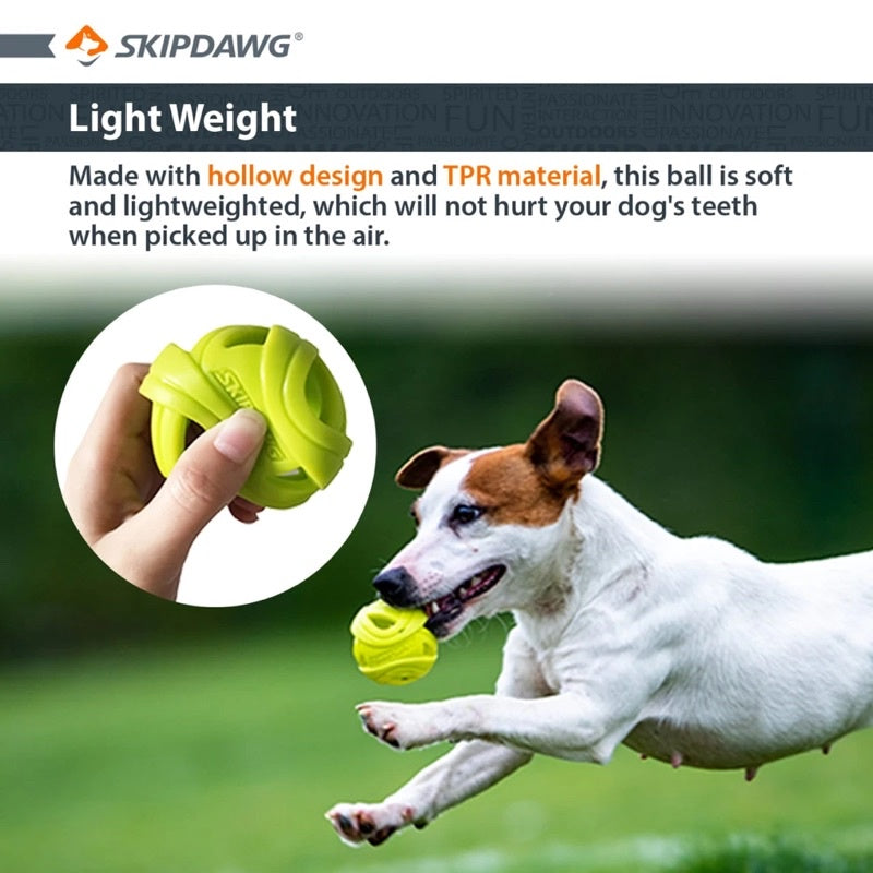 Gigwi Skipdawg Fetch Balls Dog Toy