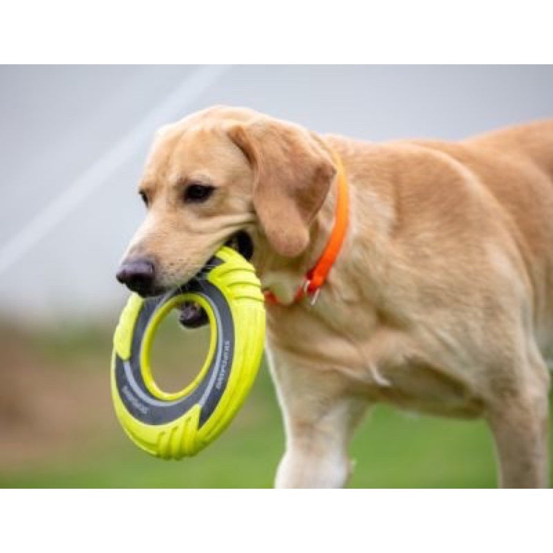 Gigwi Skipdawg Fetch Balls Dog Toy