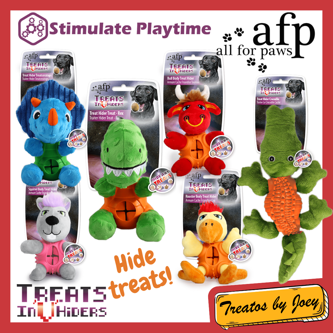 All For Paws Treats InVhiders Medium Dog Toy