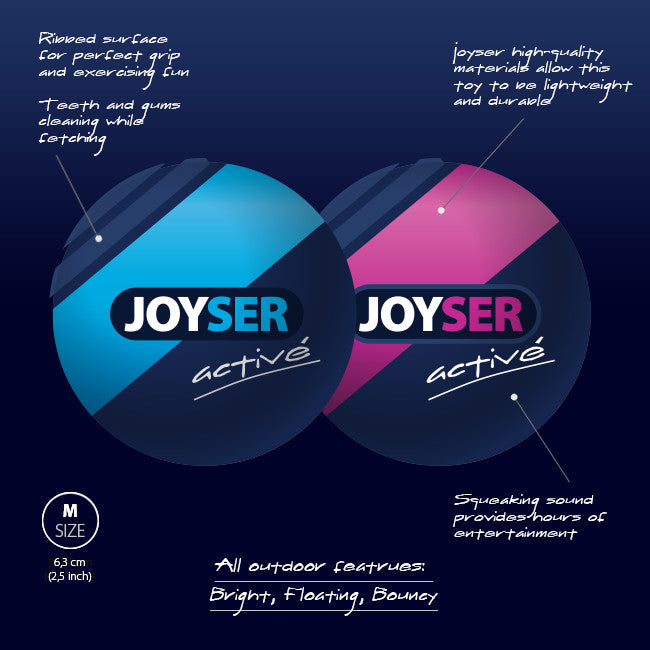 Joyser 2-Pack Active Ball Toy