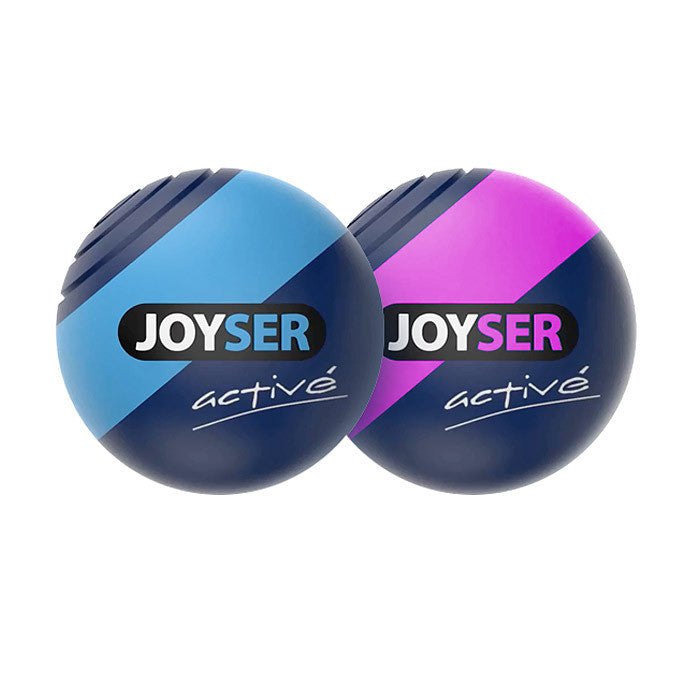 Joyser 2-Pack Active Ball Toy