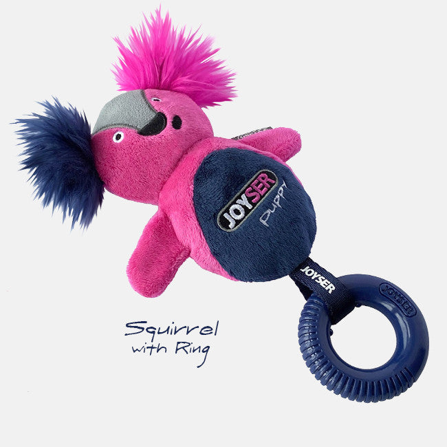 Joyser Puppy Toy